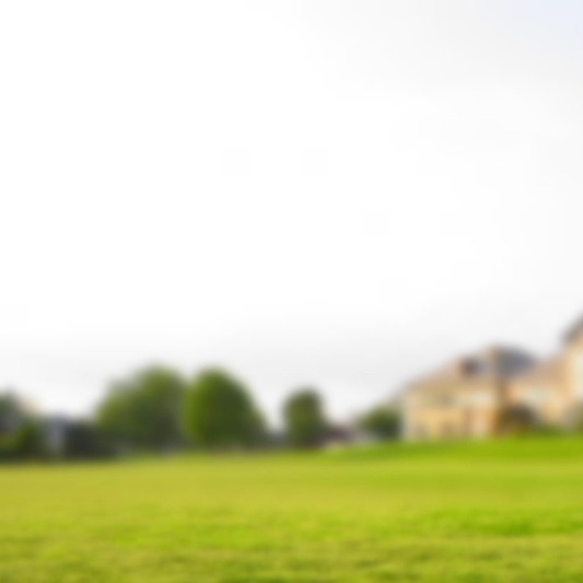 gardener mowing grass