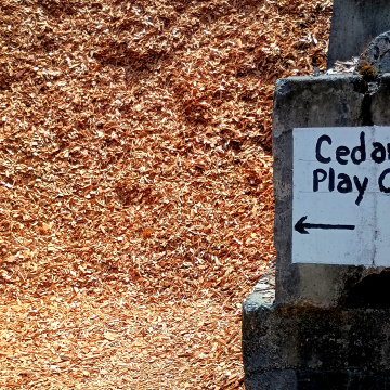Cedar Play CHIPS