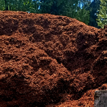 Medium Bark